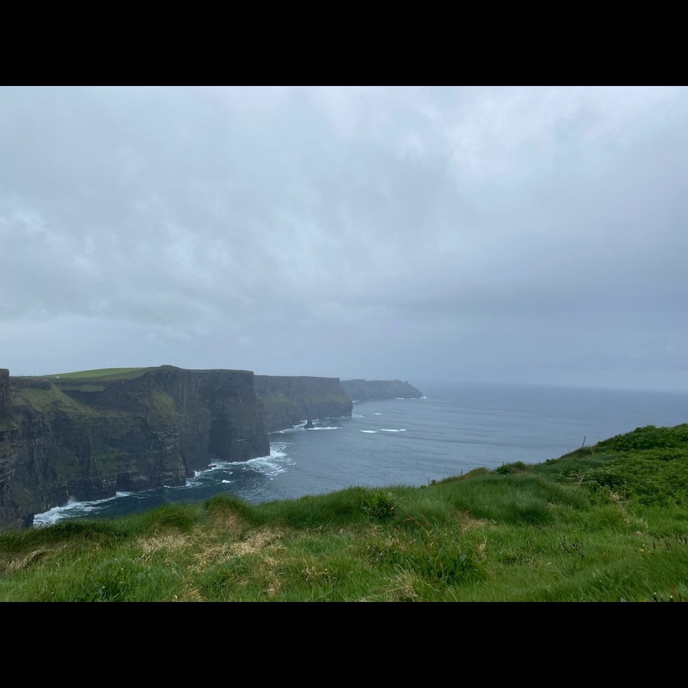 Meet your Posher, Dalton